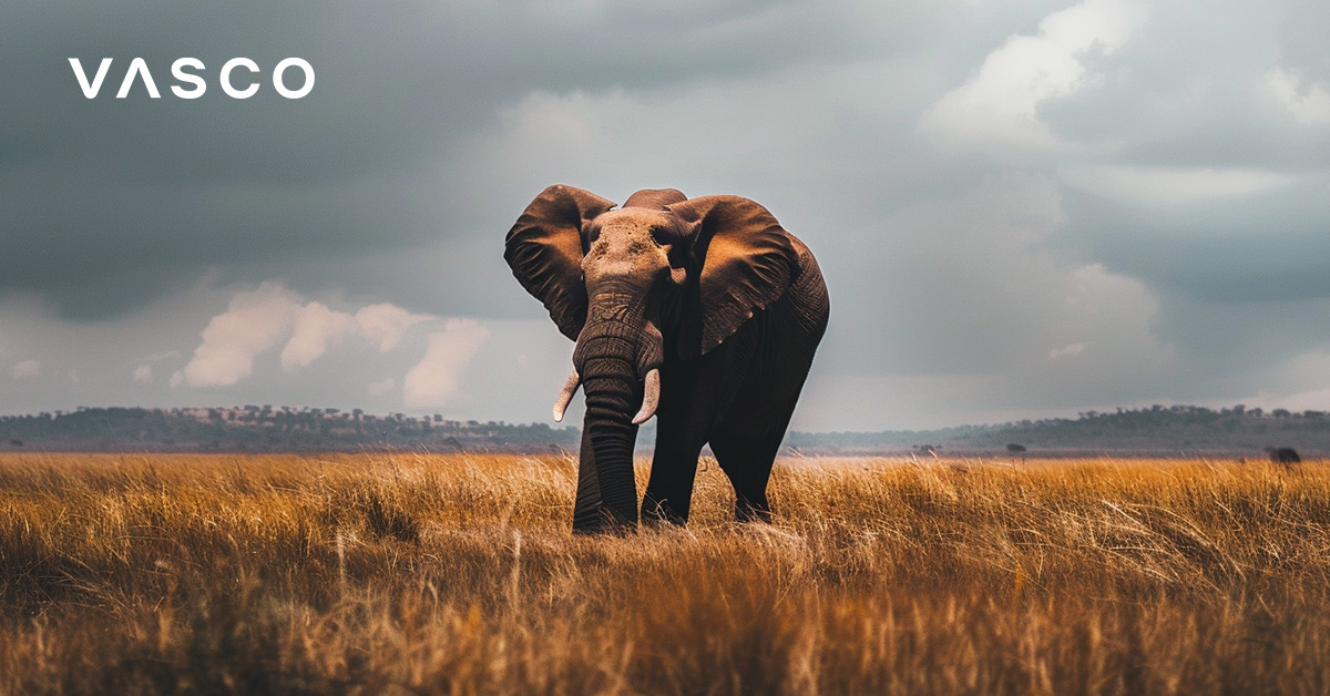 Un éléphant marchant dans la brousse africaine