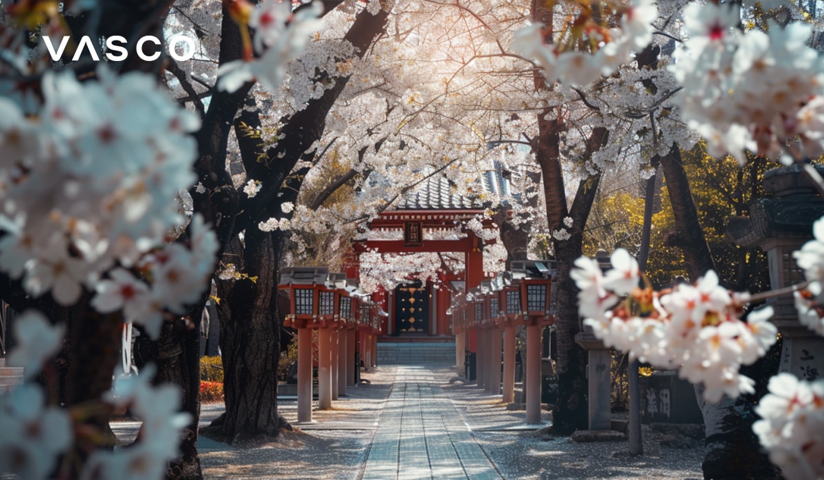 Une jolie allÃ©e de fleurs de cerisiers menant a un temple japonais