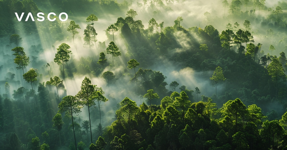 Forêt verdoyante avec brume et soleil.