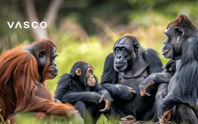 Quel est le langage des grands singes ? Nous expliquons tout ici.