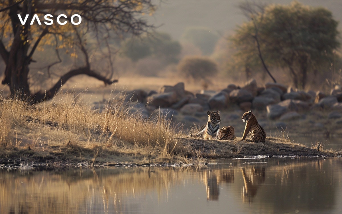  Deux léopards se reposant près d'une rivière dans un paysage serein de savane baigné de soleil.