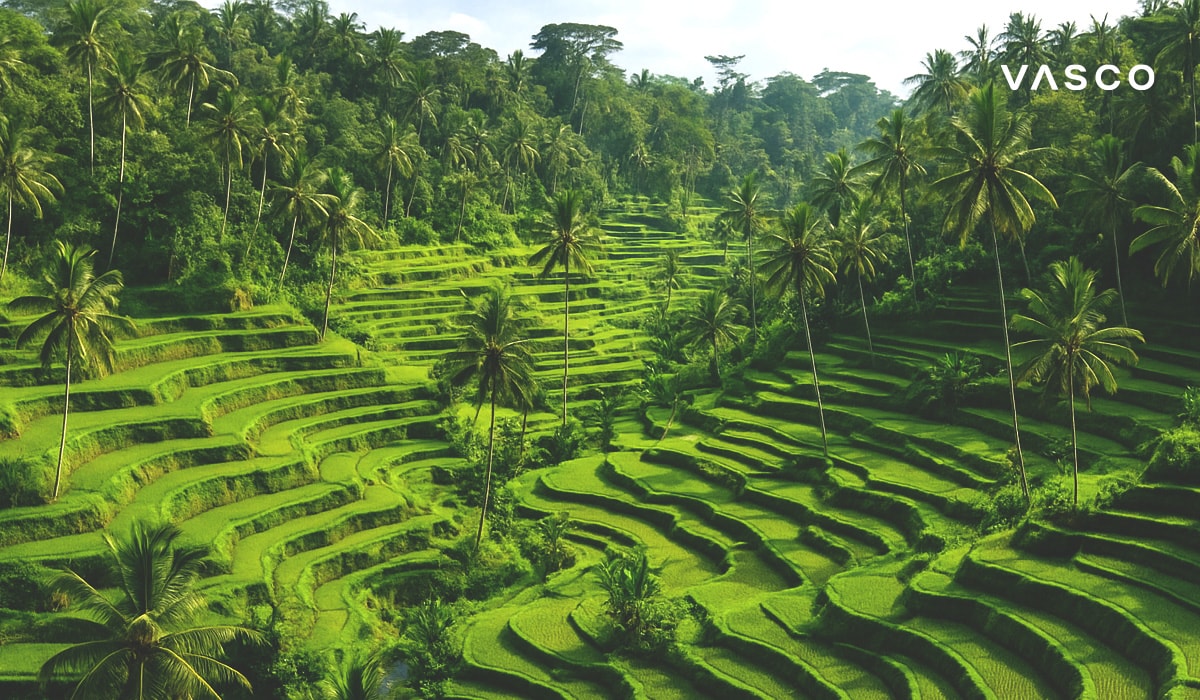 Vue spectaculaire sur les rizières en terrasses de Tegallalang, d’un vert éclatant, entourées de palmiers à Bali.