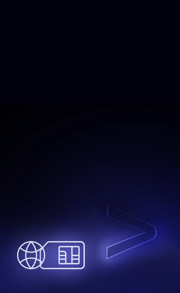 Icône représentant l'accès gratuit à Internet dans le monde entier, une fonctionnalité des appareils Vasco.